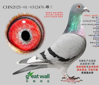 7.ñ��Ϸ��xŵ��.0312476