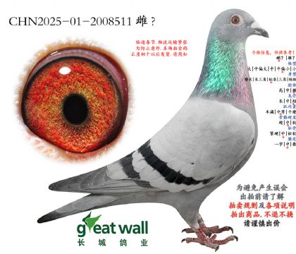 9.���ھ���50���Ӵ�.2008511