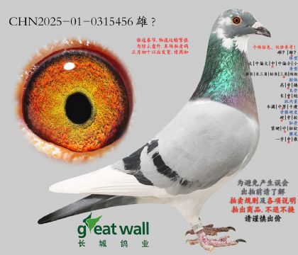 10.����Ѫϵ.0315456