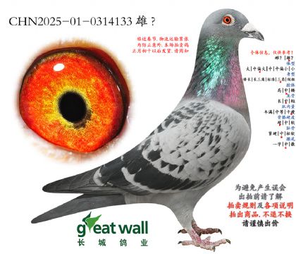 11.���ǲ���Ѫϵ.0314133