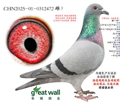 12.���������.0312472