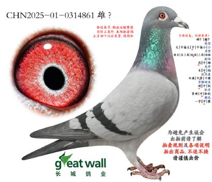 14.�����Ĺ��ۺ�35���Ӵ�.0314861