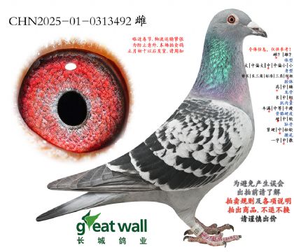 13.ղ��˹801x������.0313492