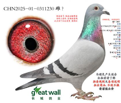 15.���ܸ��׵����.0311230