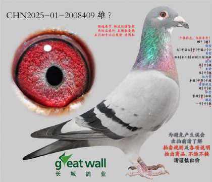 16.���ض�x����505Ѫϵ.2008409