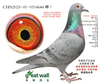 18.ͼ��˹�������ػ�Ѫ.0314644