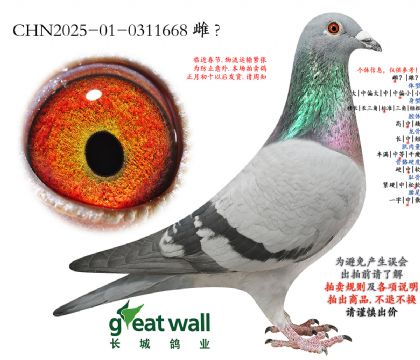 1.����ҫ��x��ŵ.0311668