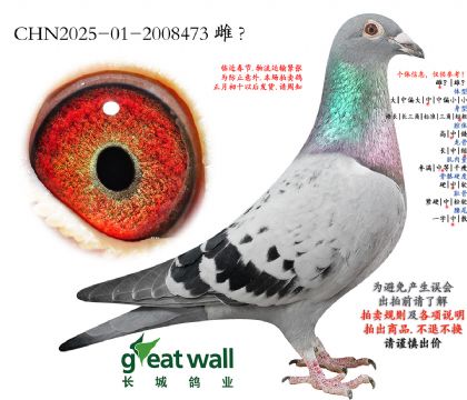 2.��ʱ��x�Ǳ�xͼ��˹.2008473