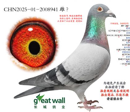 3.ñ��Ϸ�����.2008941