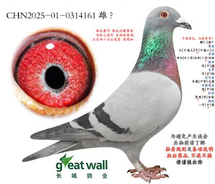 7.���������Ѫ.0314161