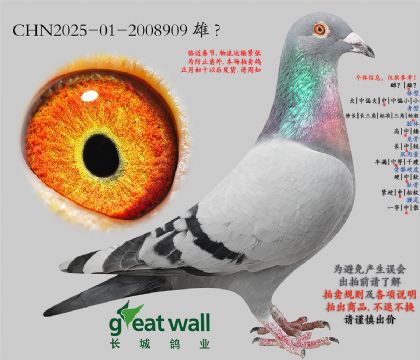 5.����Ѫϵ.2008909