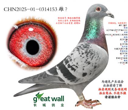 6.��������x�Ű���.0314153