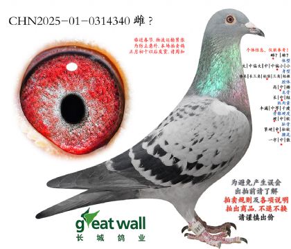 8.����x����.0314340