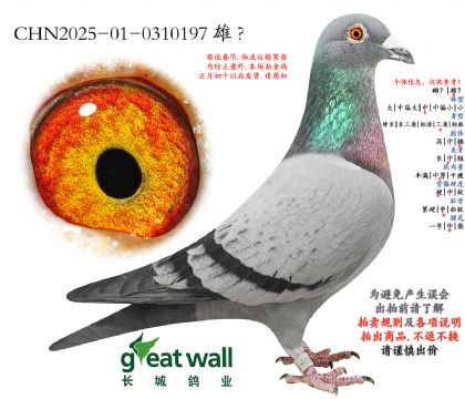 9.��������60���Ӵ�.0310197