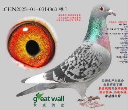 10.��������x����.0314863