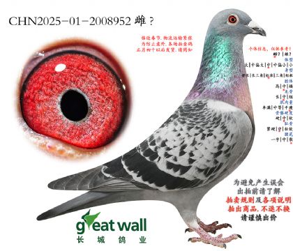 11.����������.2008952