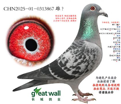 12.��ѻ��ض�x�Ѷ�.0313867