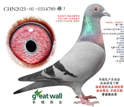 14.³�Ͻ�Ѫ���.0314789