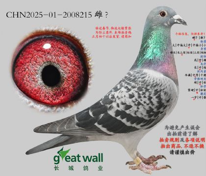 15.�׵���x���ǲ���.2008215