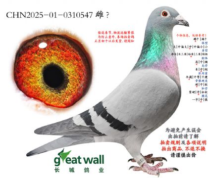 13.ղ��˹801xͼ��˹.0310547