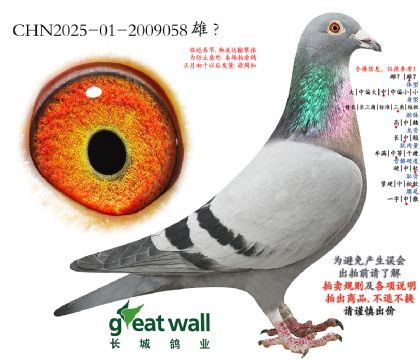 17.ͼ��˹x������.2009058