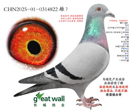 16.�������ۺϼ������.0314822