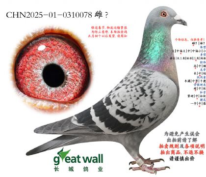 18.�³���һ�����.0310078