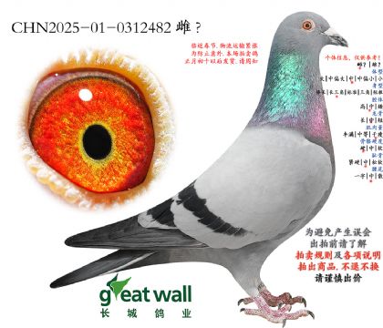 19.ͼ��˹003��Ѫ���.0312482