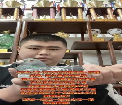 ���º،���˹�������ֱ��X�������ֱŮ