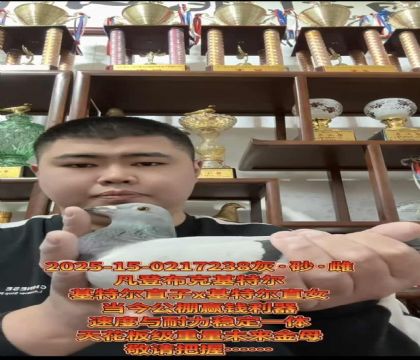 �ƹ������ѡ�����ǲ��ˡ����ض���ֱ��X�����ض���ֱŮ