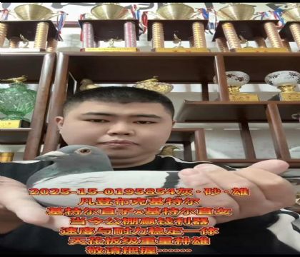 �ƹ������ѡ�����ǲ��ˡ����ض���ֱ��X�����ض���ֱŮ