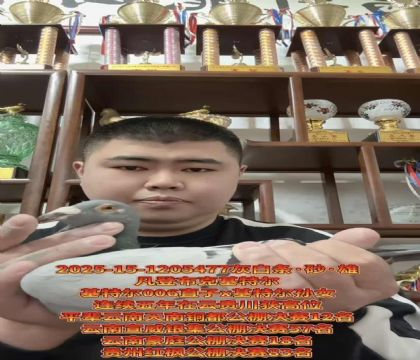 �ƹ����£����ǲ��ˡ�����ƥ��006��ֱ��X�����ض�����Ů