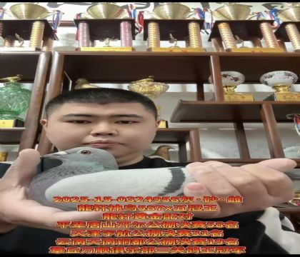 ��������587X���������