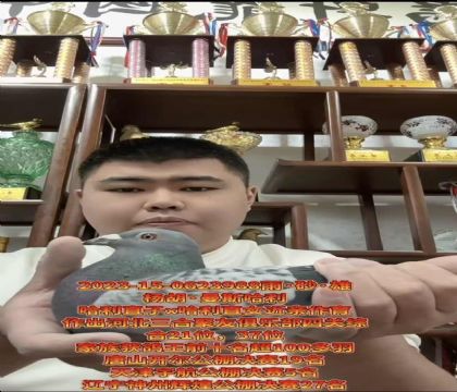 �����������������˹����ֱ��X����ֱŮ��������