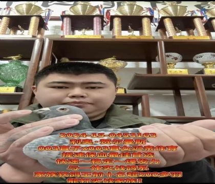 �г������ٶȸ�ϵ�����ºض���˹003�߱��ֽ��׻�Ѫ