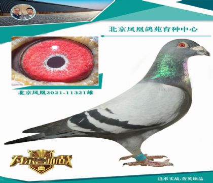 �츣��ֱ��X���ܽ�ͷX����140��)�ƽ��������Ů