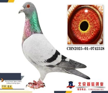 300����ھ��䰲���Ҳ�Ĭ��