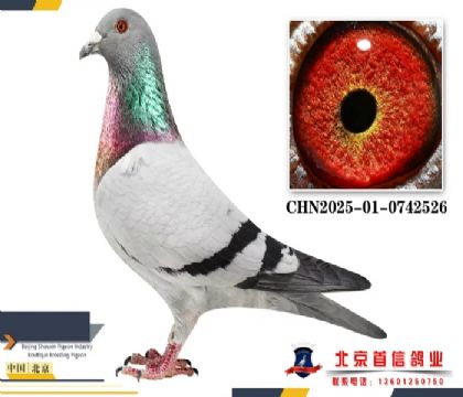 ��Ĭ��������»������73����ھ���»Ů��