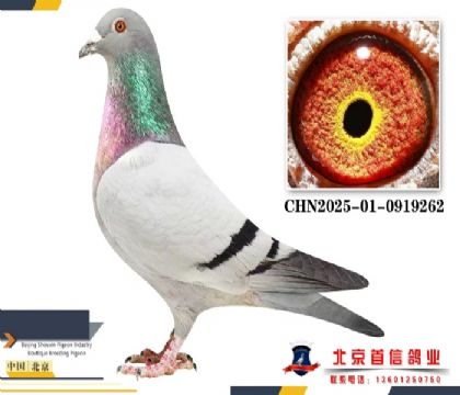 25����ھ�ȫƽ���������Ҳ�Ĭ��262