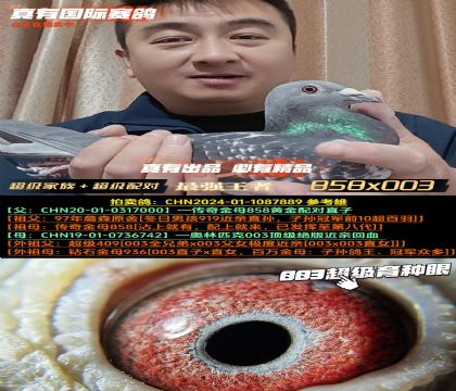 ������ʵս�������ĸ858x003��������