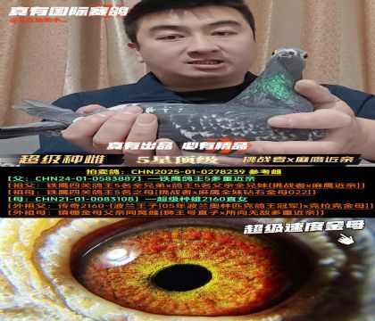 �������ִơ���ս��x��ӥ����