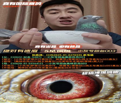 ���������ٶȡ�С�ҺŻ�Ѫ003