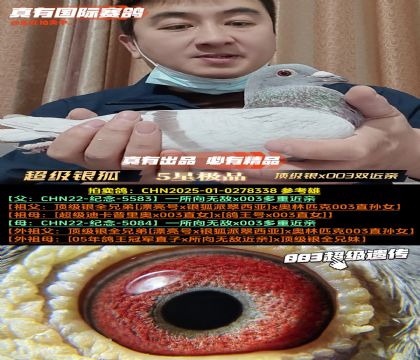 ������������������x003˫����