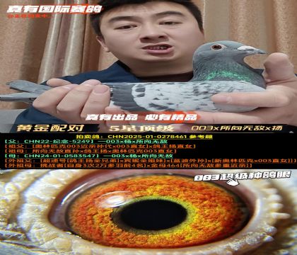 ���ƽ���ԡ�003x�����޵�x��