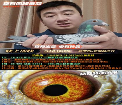 �����ϼӿ졷������x�°���ƥ�˽���