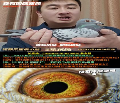 ����Ʈ���ٶ�С�ơ�003x��x�����޵�