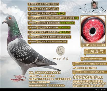 �����ĸ854