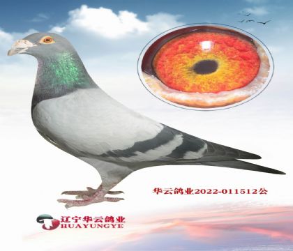 07���ϴ����ֹ�X��ʱ��911ֱŮ331 ֮ǰ�Ӳ����۵�Ѫϵ