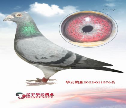 �������ӮǮ�� ������ �����ٶȷ��ӳԿ�����