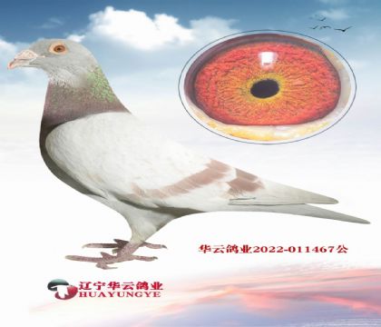 ������ƥ����������ֱ��X������.����